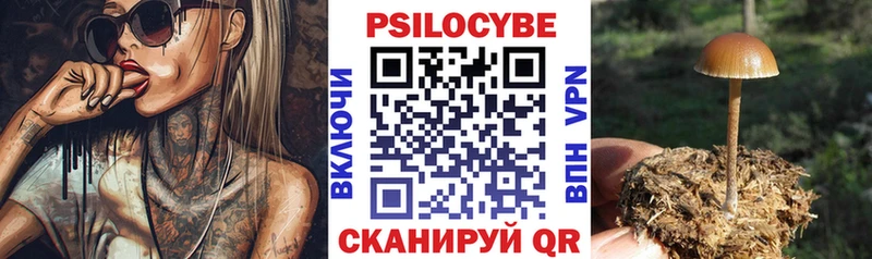 Псилоцибиновые грибы Psilocybine cubensis хочу Барыш